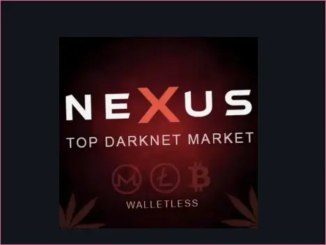 Nexus Market escrow transaction interface